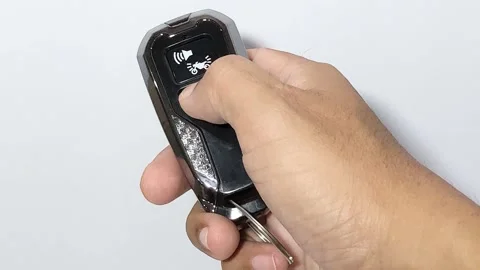 Hand hold a motorcycle key or remote Stock Footage 308611098