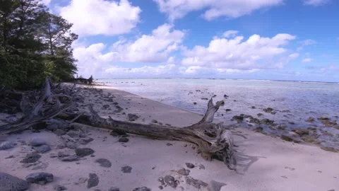 Hand hold still close up view to a draft wood on sandy rocky beach of Koromiri l Stock Footage 250401674
