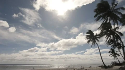 Hand hold still sky view of bright blue sky with sunshine and coconut trees Stock-Footage 233675341