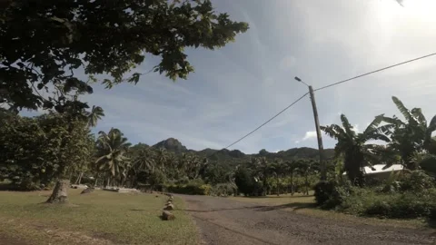 Hand hold still view at a backroad in tropical Pacific Cook Islands Stock Footage 233675137