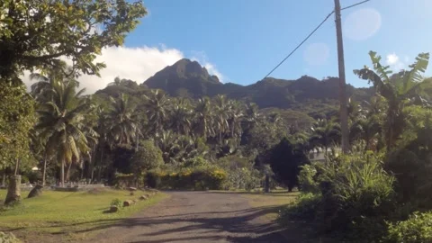 Hand hold still view at backroad in tropical Pacific Cook Islands with agricultu Video stock 235307919