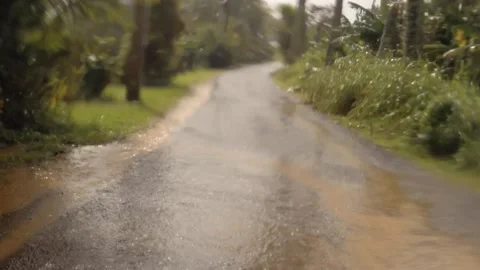 Hand hold vertical look up view at backroad in tropical Pacific Islands with flo Video stock 235310168