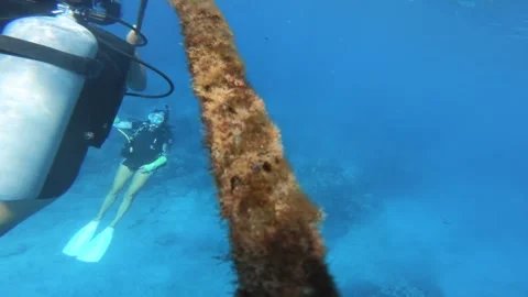 Hand hold view of a student diver grabbing rope stream line descending down into Stock Footage 251302968