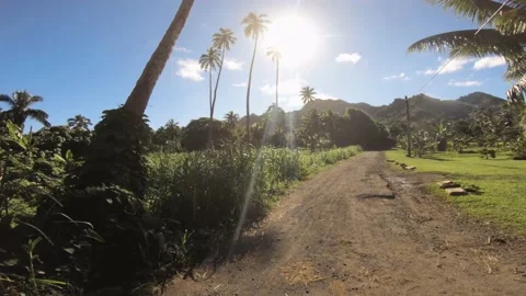 Hand hold walking view at a backroad in tropical Pacific Cook Islands with agric Stock Footage 237619902
