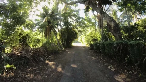 Hand hold walking view going through forest light and shade a backroad in tropic Stock Footage 237620635
