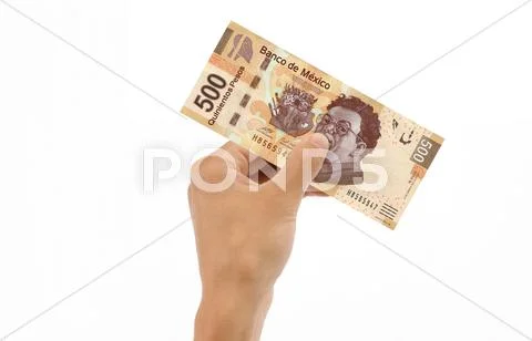 Hand holding 500 pesos bill Stock Illustration