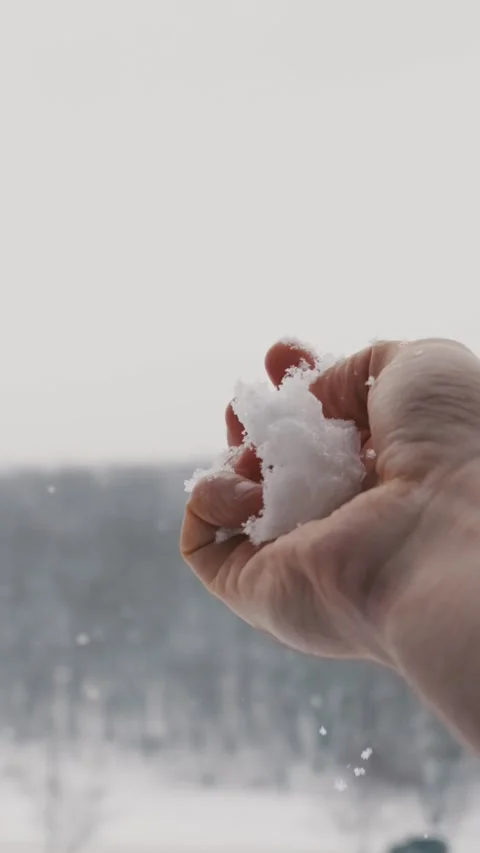 Hand Holding And Dropping Fresh White Snow In Cold Winter Forest Stock Footage 327611342