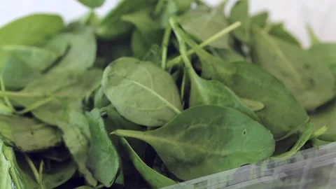 Hand holding and looking through green spinach leaves, leaves falling into Stock Footage 246390210