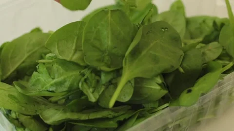Hand holding and looking through green spinach leaves, leaves falling into Stock Footage 246390235