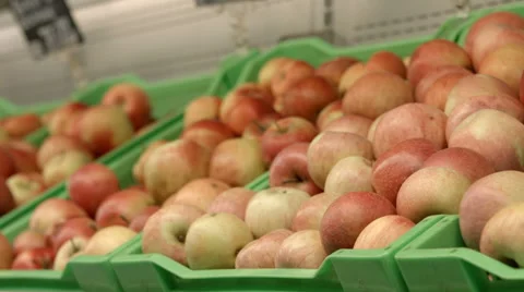 Hand holding an apple Stock Footage 67980983