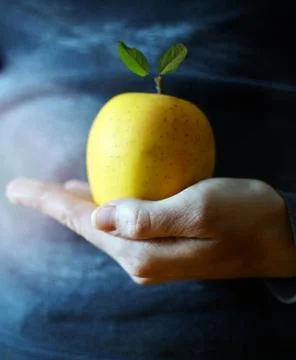 Hand holding apple Stock Photos