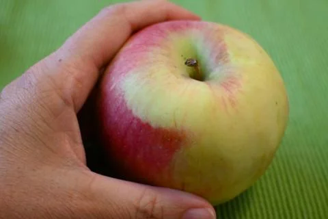 Hand holding an apple 스톡 사진