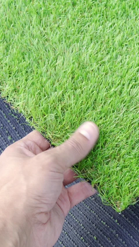 Hand holding an artificial grass Vídeos de archivo 335240931