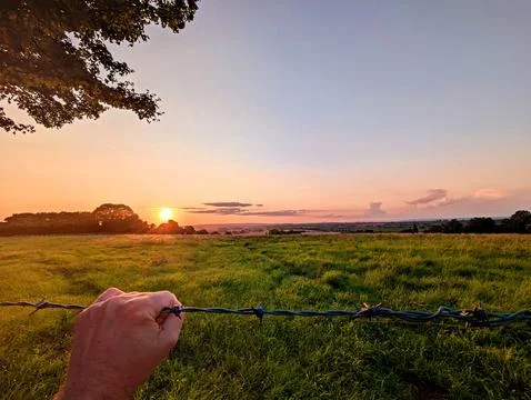 Hand holding barbed wire looking to escape Stock Photos