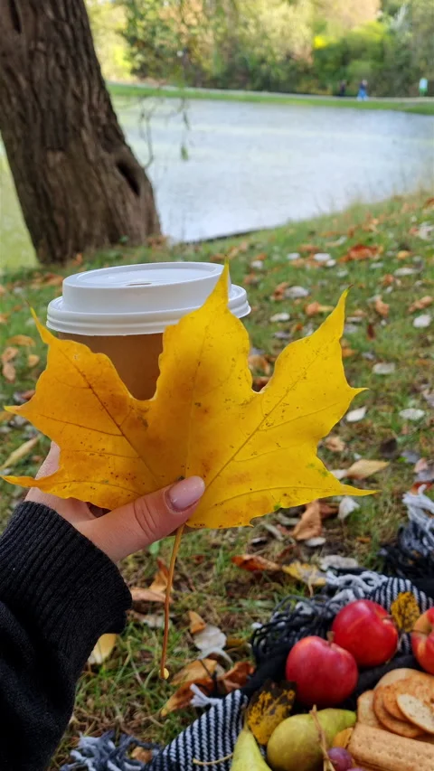 Hand holding big yellow maple leaf and takeaway coffee cup in autumn park. Video stock 344226853