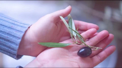Hand holding black olive Video stock 76140214