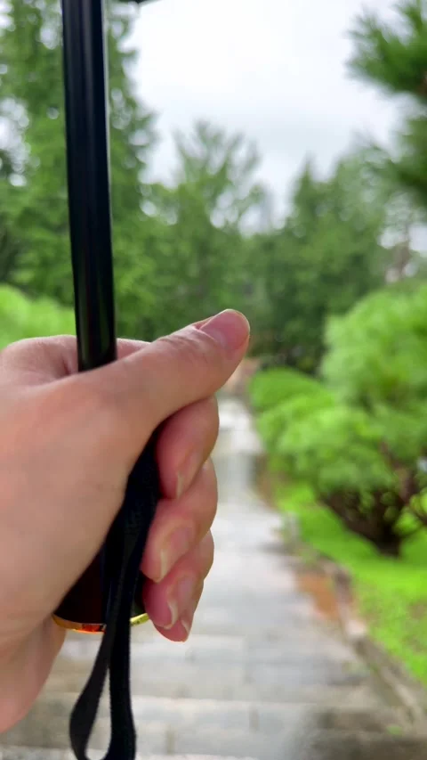 Hand holding black umbrella during rainy walk in green park. Umbrella protects Stock Footage 343623736
