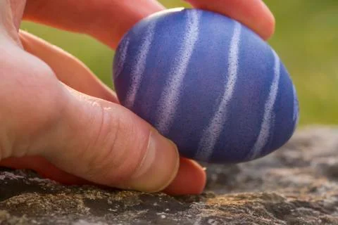 Hand holding blue colored Easter egg Stock Photos
