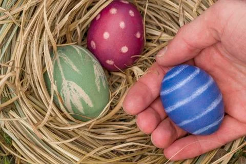 Hand holding blue colored Easter egg Stock Photos
