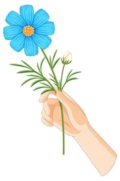 Hand Holding Blue Flower Vector Illustration Stock Illustration