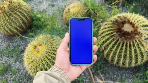 Hand holding blue screen smartphone against plants. social media,delivery and Stock Footage 281857540