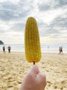 Hand holding a boiled corn on a stick against a beach backdrop with people Stock Photos