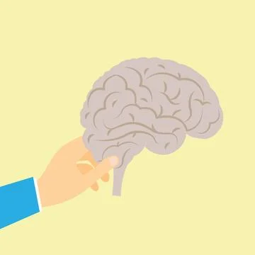 Hand holding a brain Stock Illustration