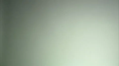 Hand holding broccoli Stock-Footage 11291036