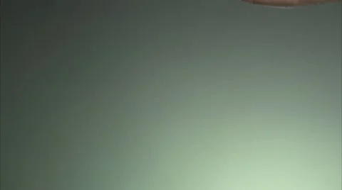 Hand holding broccoli Stock Footage 11291038