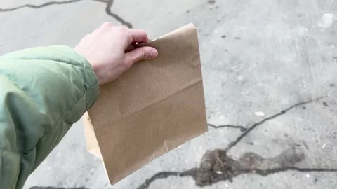 Hand holding a brown paper bag while walking on a cracked sidewalk  Vídeo Stock 331928014