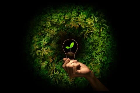 Hand holding a bulb with fresh green leaves inside on nature background.Ecolo Foto stock