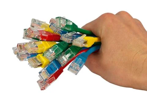 Hand Holding Bunch of Colored Network Cables Isolated Stock-Fotos