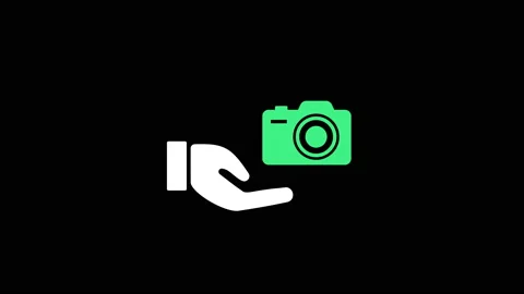 Hand holding camera icon. Video stock 231864661