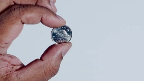 Hand Holding Canada 5 Cents Back Stock Footage 248757975