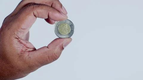 A Hand Holding Canadian Dollar Stock Footage 248759376