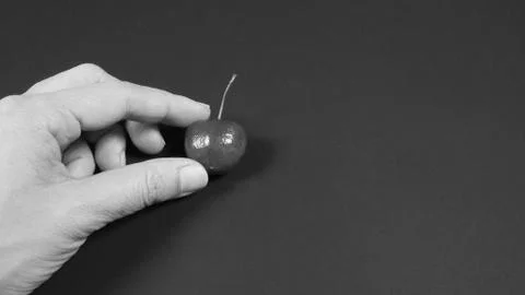 Hand is holding cherry on black background. Stock Photos