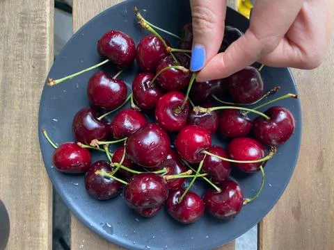 Hand holding cherry 스톡 사진