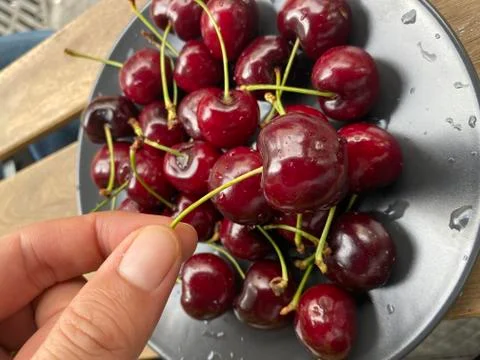 Hand holding cherry Stock Photos