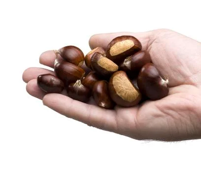 Hand holding chestnuts Stock Photos