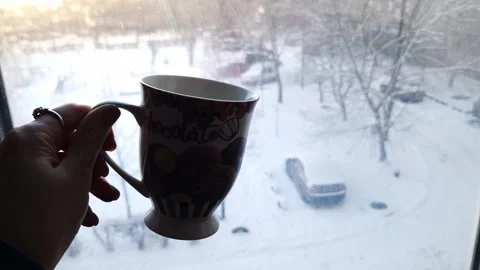 Hand Holding Chocolate Mug Overlooking Snowy Winter Scene Stock Footage 326312910
