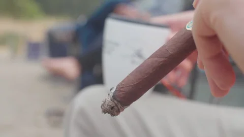 Hand holding a cigar 2 Stock Footage 103755674