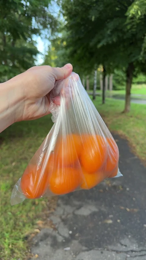 Hand holding a clear plastic bag full of yellow tomatoes outdoors in a park Stockbeeldmateriaal 340997565