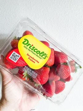 Hand holding a clear plastic container of fresh Driscoll's strawberries. - .. Stock-Fotos