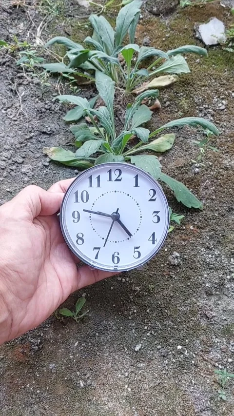 Hand Holding Clock with Unique Background Video stock 280045212