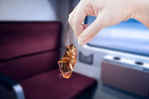 Hand holding cockroach with inside the train background, eliminate cockroac.. Stockfoto's