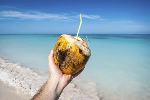 Hand holding a coconut by the beach Stock Photos