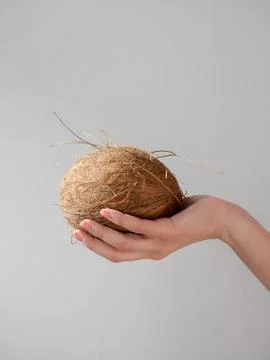 Hand holding Coconut Stock Photos