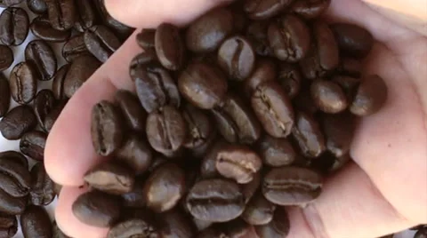Hand holding coffee grains Vídeo Stock 65498261