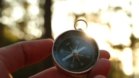 Hand holding compass in forest landscape. Stock-Footage 227853005