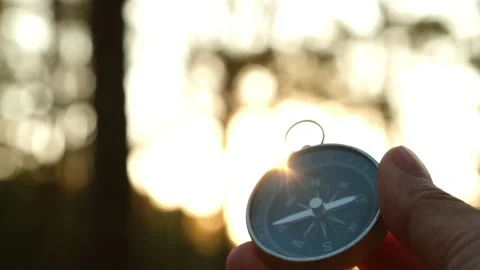 Hand holding compass in forest landscape. Vídeos de archivo 227853228